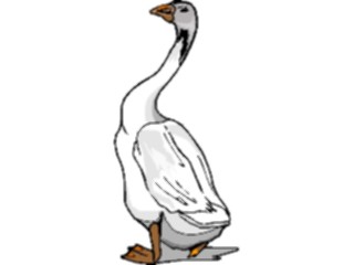 Sticker Custom Preview Image #016866 Animals Birds Goose13