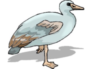 Sticker Custom Preview Image #016868 Animals Birds Goose15