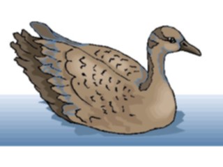 Sticker Custom Preview Image #016869 Animals Birds Goose16