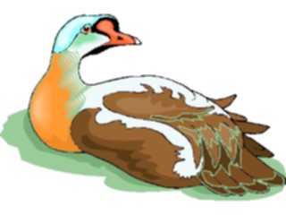 Sticker Custom Preview Image #016871 Animals Birds Goose18