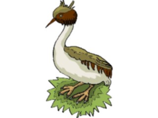 Sticker Custom Preview Image #016878 Animals Birds Grebe1