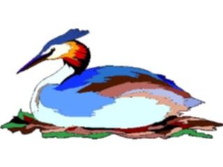 Sticker Custom Preview Image #016880 Animals Birds Grebe3