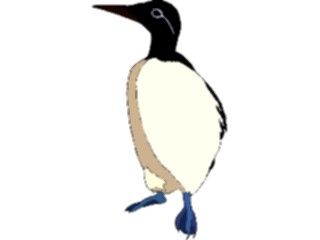 Sticker Custom Preview Image #016884 Animals Birds Guillemot3