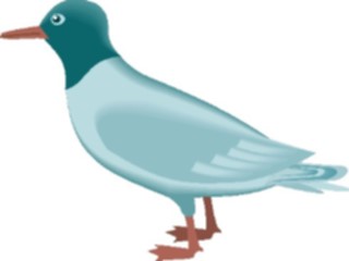 Sticker Custom Preview Image #016886 Animals Birds Gull2