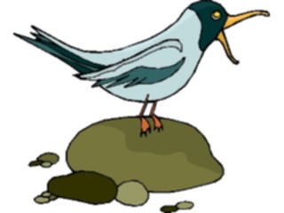 Sticker Custom Preview Image #016887 Animals Birds Gull3