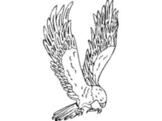 Sticker Custom Preview Image #016889 Animals Birds Hawk1