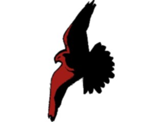 Sticker Custom Preview Image #016890 Animals Birds Hawk2