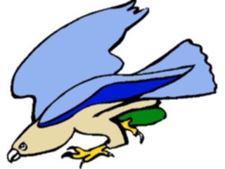 Sticker Custom Preview Image #016891 Animals Birds Hawk3