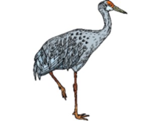 Sticker Custom Preview Image #016901 Animals Birds Heron05