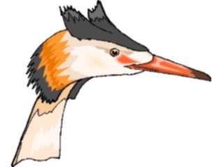 Sticker Custom Preview Image #016902 Animals Birds Heron06