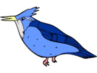 Sticker Custom Preview Image #016944 Animals Birds Kingfisher01