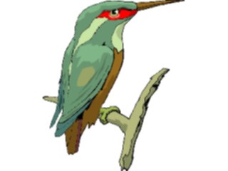 Sticker Custom Preview Image #016945 Animals Birds Kingfisher02
