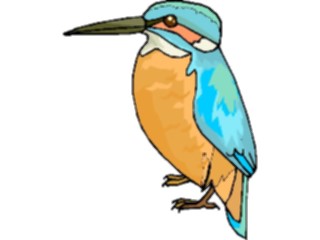 Sticker Custom Preview Image #016947 Animals Birds Kingfisher04
