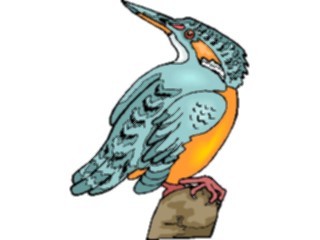 Sticker Custom Preview Image #016949 Animals Birds Kingfisher06