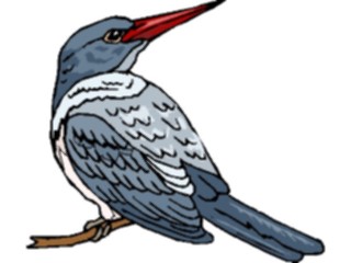 Sticker Custom Preview Image #016950 Animals Birds Kingfisher07