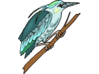 Sticker Custom Preview Image #016952 Animals Birds Kingfisher09
