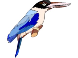 Sticker Custom Preview Image #016953 Animals Birds Kingfisher10
