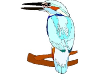 Sticker Custom Preview Image #016954 Animals Birds Kingfisher11