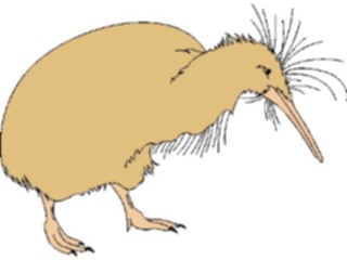 Sticker Custom Preview Image #016956 Animals Birds Kiwi Bird2