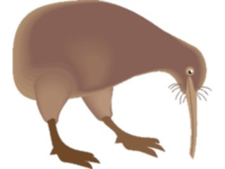 Sticker Custom Preview Image #016957 Animals Birds Kiwi Bird3