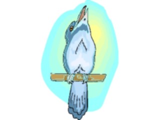 Sticker Custom Preview Image #016961 Animals Birds Kookaburra1