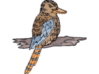 Sticker Custom Preview Image #016962 Animals Birds Kookaburra2