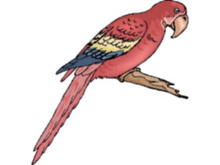 Sticker Custom Preview Image #016968 Animals Birds Macaw1