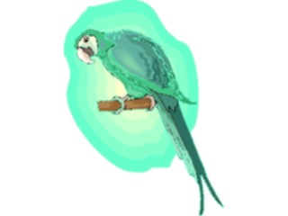 Sticker Custom Preview Image #016969 Animals Birds Macaw2