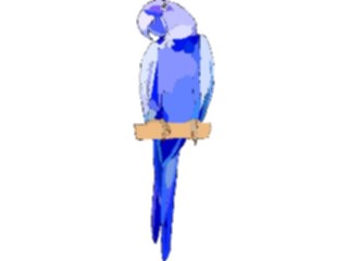 Sticker Custom Preview Image #016970 Animals Birds Macaw3