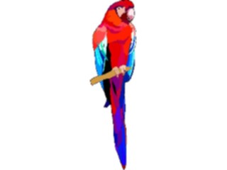 Sticker Custom Preview Image #016971 Animals Birds Macaw4