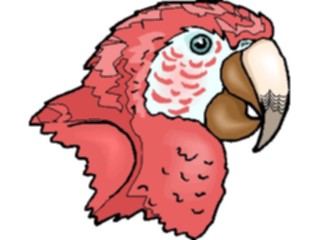 Sticker Custom Preview Image #016972 Animals Birds Macaw Head