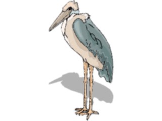 Sticker Custom Preview Image #016974 Animals Birds Marabou Stork1