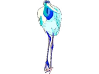 Sticker Custom Preview Image #016976 Animals Birds Marabou Stork3