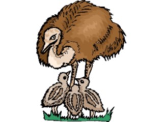 Sticker Custom Preview Image #017013 Animals Birds Ostrich Chicks