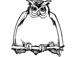 Sticker Custom Preview Image #017016 Animals Birds Owl03