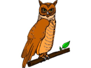 Sticker Custom Preview Image #017017 Animals Birds Owl04