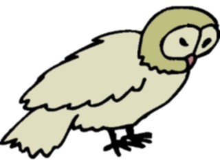 Sticker Custom Preview Image #017030 Animals Birds Owl17