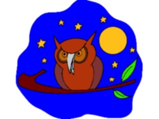 Sticker Custom Preview Image #017032 Animals Birds Owl19