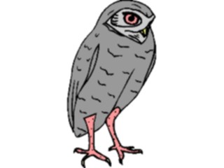 Sticker Custom Preview Image #017034 Animals Birds Owl21