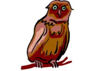 Sticker Custom Preview Image #017036 Animals Birds Owl23