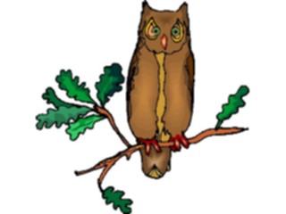 Sticker Custom Preview Image #017037 Animals Birds Owl24