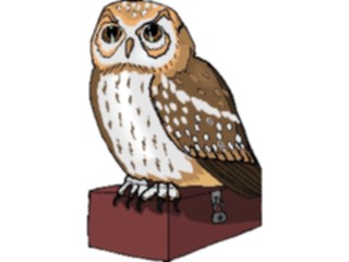 Sticker Custom Preview Image #017040 Animals Birds Owl27
