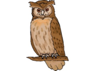 Sticker Custom Preview Image #017045 Animals Birds Owl32