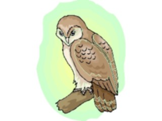 Sticker Custom Preview Image #017046 Animals Birds Owl33