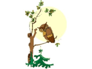 Sticker Custom Preview Image #017047 Animals Birds Owl34