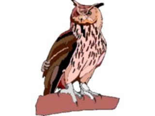 Sticker Custom Preview Image #017049 Animals Birds Owl36