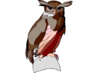 Sticker Custom Preview Image #017050 Animals Birds Owl37