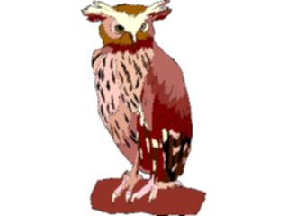 Sticker Custom Preview Image #017051 Animals Birds Owl38