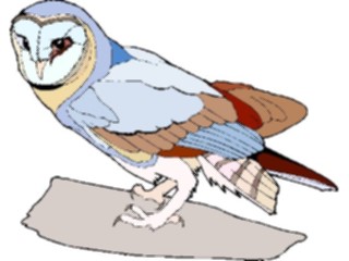 Sticker Custom Preview Image #017054 Animals Birds Owl41