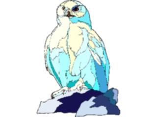 Sticker Custom Preview Image #017055 Animals Birds Owl42